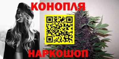 прущие грибы Краснознаменск