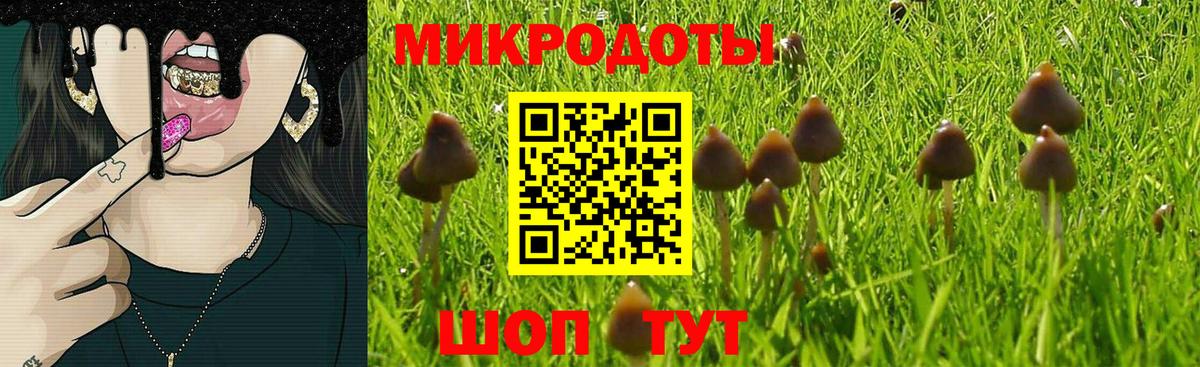 Галлюциногенные грибы MAGIC MUSHROOMS Камышлов